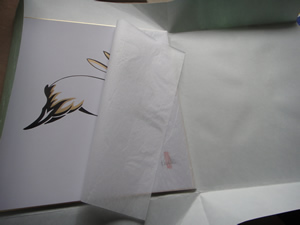 Japanese Wrapping with rice paper